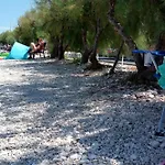 Family-friendly With Swimming Pool Razanac, Zadar - 22306 Apartament *